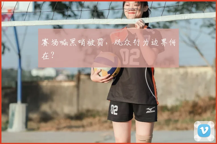 赛场喊黑哨被罚,观众行为边界何在?